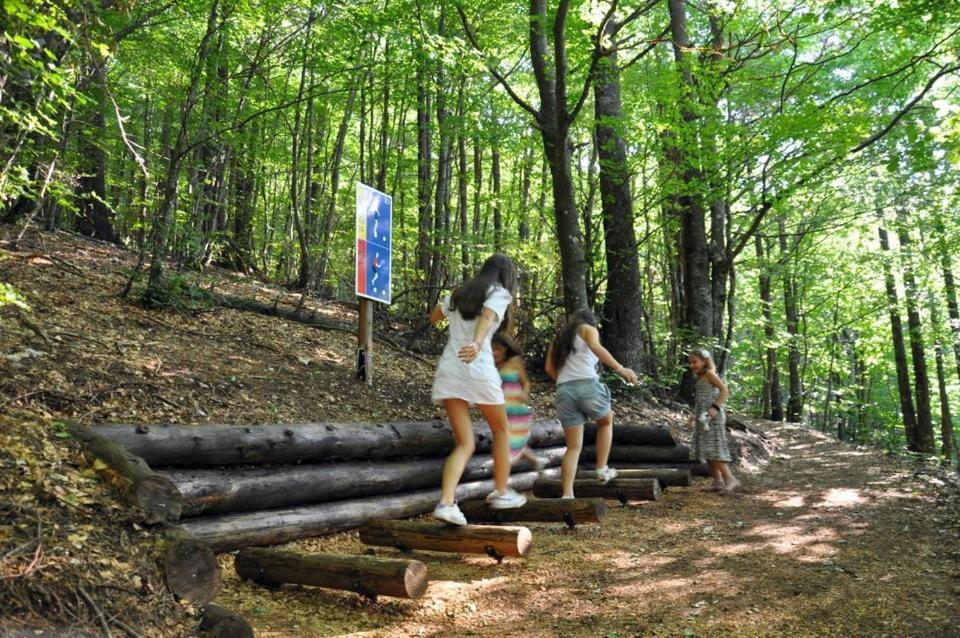 Hotel Snjezna Kuca - Nature Park Of Bosnia Herzegovina Padezina Екстер'єр фото