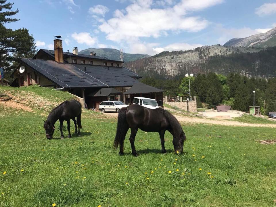 Hotel Snjezna Kuca - Nature Park Of Bosnia Herzegovina Padezina Екстер'єр фото