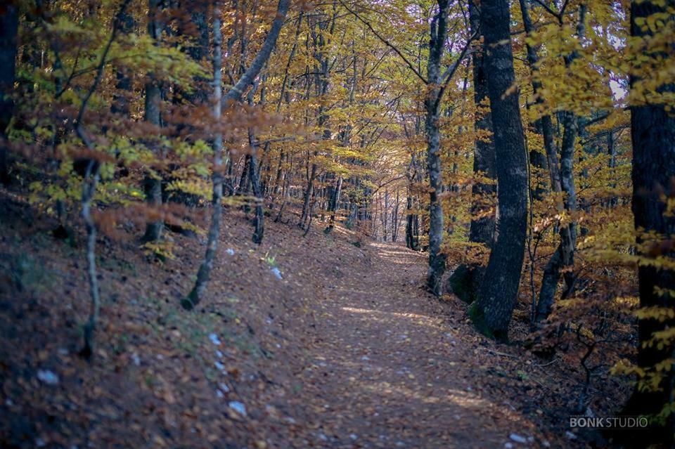 Hotel Snjezna Kuca - Nature Park Of Bosnia Herzegovina Padezina Екстер'єр фото