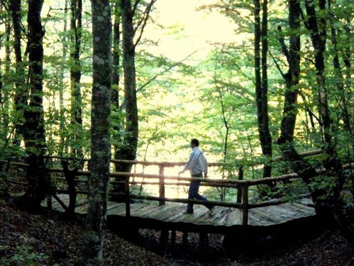 Hotel Snjezna Kuca - Nature Park Of Bosnia Herzegovina Padezina Екстер'єр фото